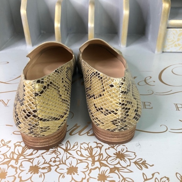 SOLE society snake print Leather shoes - Picture 10 of 15